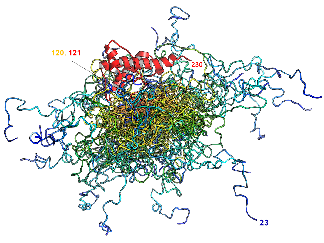 Major prion protein OTHER [STATIC IMAGE] model