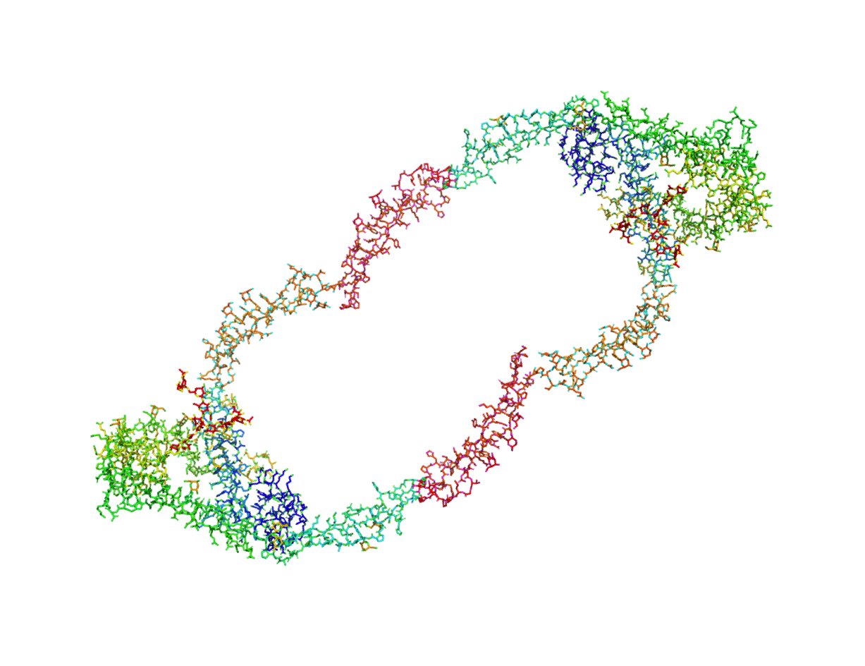 Properdin (dimer) OTHER [STATIC IMAGE] model