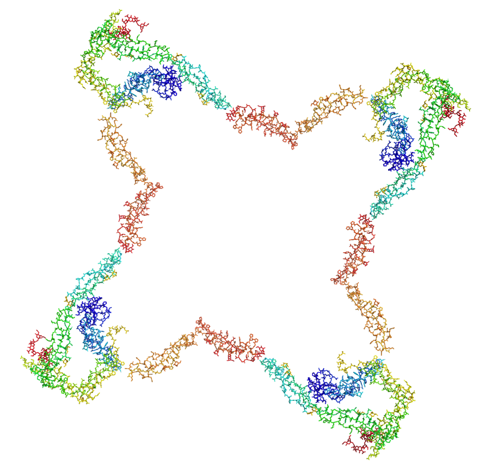 Properdin (tetramer) OTHER [STATIC IMAGE] model