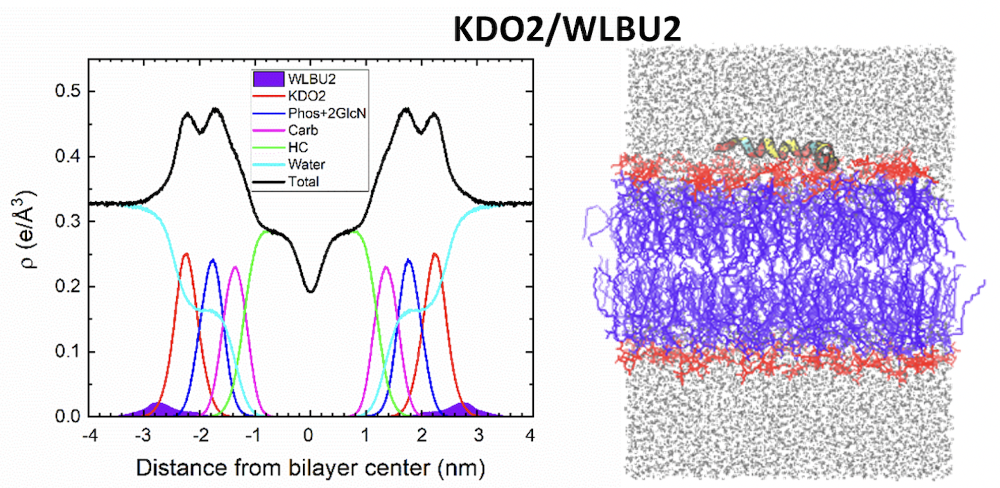 Di[3-deoxy-D-manno-octulosonyl]-lipid A (ammonium salt) plus WLBU2 OTHER [STATIC IMAGE] model