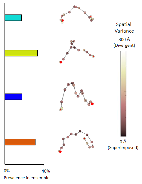 15mer of adenosine diphosphate ribose (poly-ADP ribose) OTHER [STATIC IMAGE] model