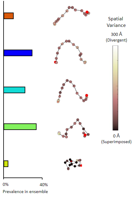 15mer of adenosine diphosphate ribose (poly-ADP ribose) OTHER [STATIC IMAGE] model