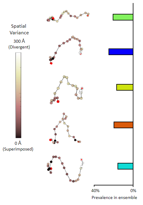 22mer of adenosine diphosphate ribose (poly-ADP ribose) OTHER [STATIC IMAGE] model