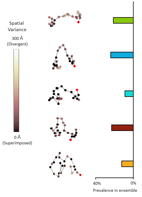 22mer of adenosine diphosphate ribose (poly-ADP ribose) OTHER [STATIC IMAGE] model