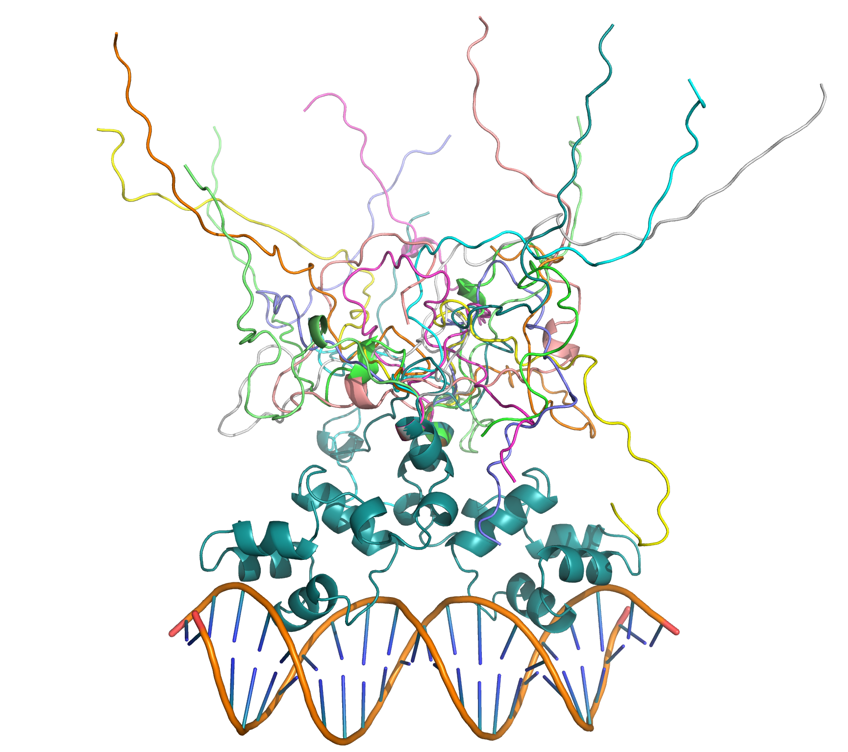 Phage antirepressor protein Cro IR1 22 base pair dsDNA OTHER [STATIC IMAGE] model