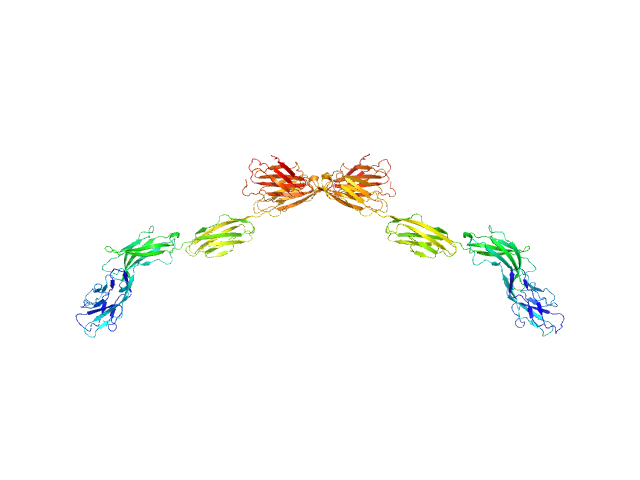 SASDBF6 – Deglycosylated myelin-associated glycoprotein full ...