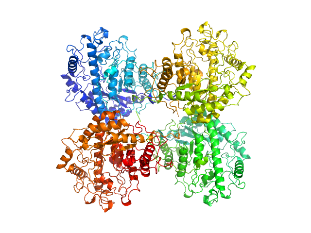 Beta-amylase PDB (PROTEIN DATA BANK) model