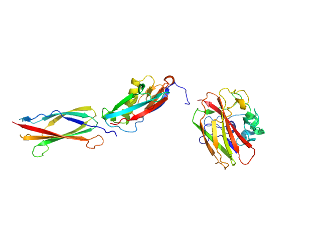 Truncated GbpA SASREF model