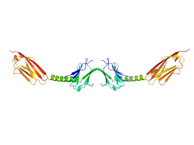 Myomesin-1 CRYSOL model