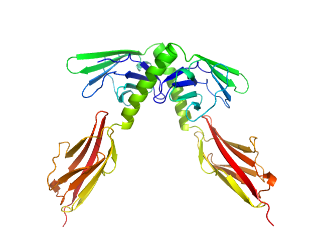 Myomesin-1 CRYSOL model