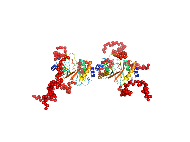 Latency-associated nuclear antigen EOM/RANCH model