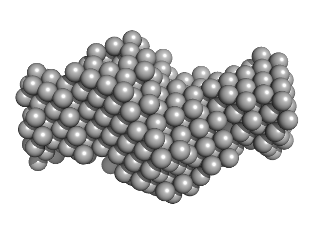 Cysteine desulfurase IscS DAMMIF model