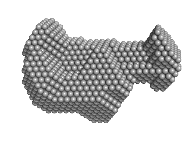 HCoV-229E Non-structural protein 10 DAMMIF model