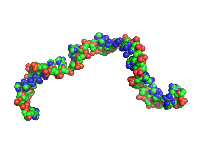 Poly-deoxyadenosine (30mer) CUSTOM IN-HOUSE model