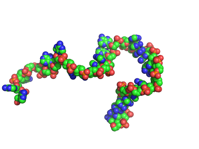 Poly-deoxyadenosine (30mer) CUSTOM IN-HOUSE model