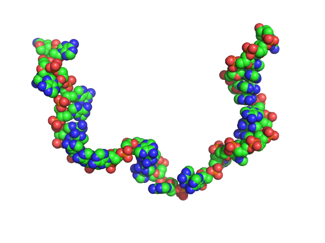 Poly-deoxyadenosine (30mer) CUSTOM IN-HOUSE model