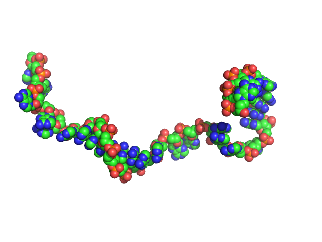 Poly-deoxyadenosine (30mer) CUSTOM IN-HOUSE model