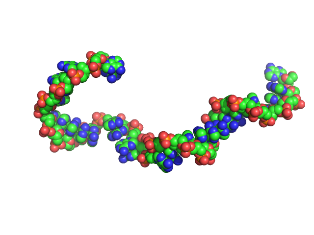 Poly-deoxyadenosine (30mer) CUSTOM IN-HOUSE model