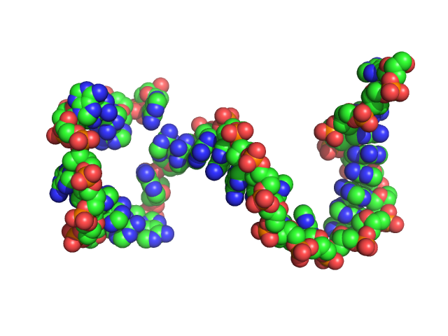 Poly-deoxyadenosine (30mer) CUSTOM IN-HOUSE model