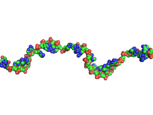 Poly-deoxyadenosine (30mer) CUSTOM IN-HOUSE model