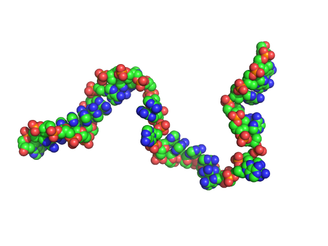 Poly-deoxyadenosine (30mer) CUSTOM IN-HOUSE model