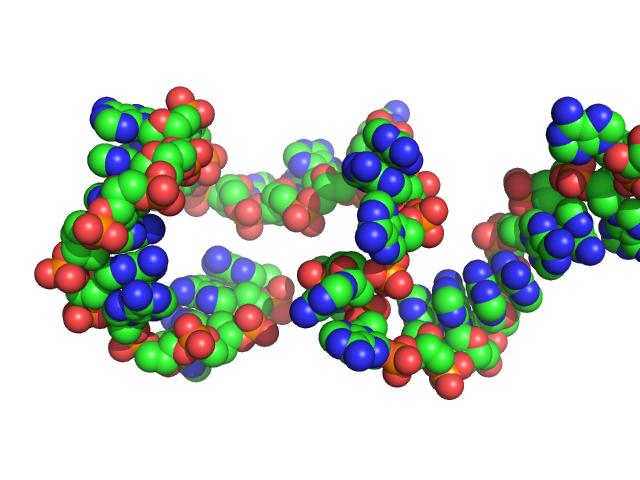 Poly-deoxyadenosine (30mer) CUSTOM IN-HOUSE model