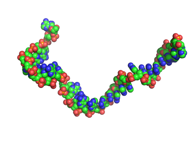 Poly-deoxyadenosine (30mer) CUSTOM IN-HOUSE model