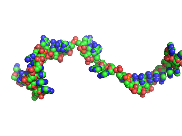 Poly-deoxyadenosine (30mer) CUSTOM IN-HOUSE model