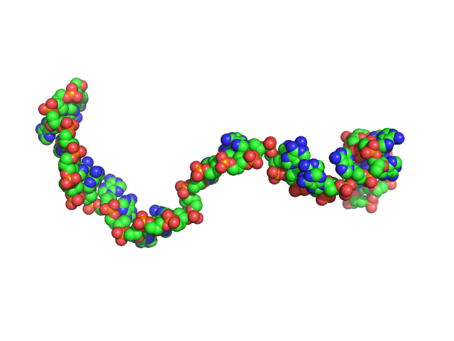 Poly-deoxyadenosine (30mer) CUSTOM IN-HOUSE model