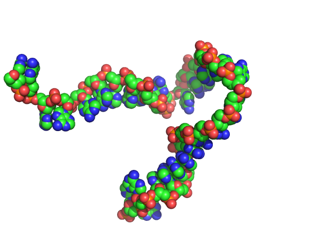 Poly-deoxyadenosine (30mer) CUSTOM IN-HOUSE model