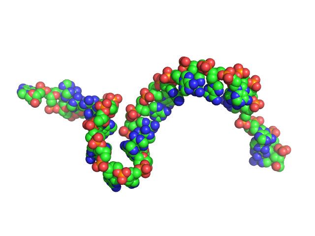 Poly-deoxyadenosine (30mer) CUSTOM IN-HOUSE model