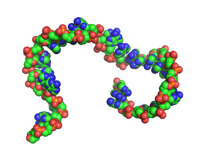 Poly-deoxyadenosine (30mer) CUSTOM IN-HOUSE model