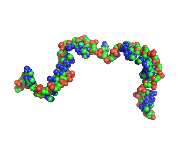 Poly-deoxyadenosine (30mer) CUSTOM IN-HOUSE model