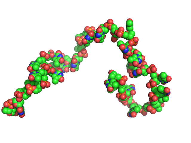 Poly-deoxythymidine (30mer) CUSTOM IN-HOUSE model