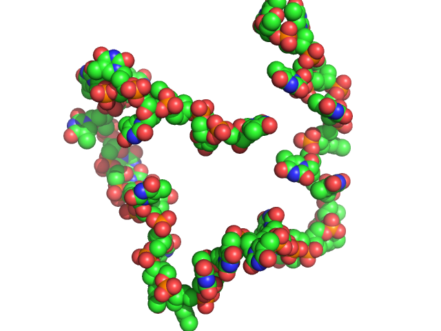 Poly-deoxythymidine (30mer) CUSTOM IN-HOUSE model