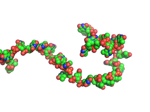 Poly-deoxythymidine (30mer) CUSTOM IN-HOUSE model