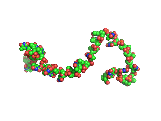 Poly-deoxythymidine (30mer) CUSTOM IN-HOUSE model