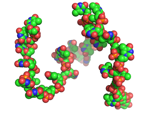 Poly-deoxythymidine (30mer) CUSTOM IN-HOUSE model