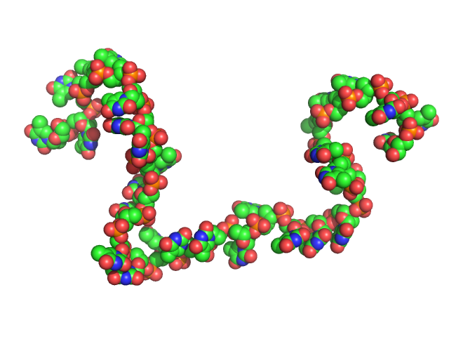 Poly-deoxythymidine (30mer) CUSTOM IN-HOUSE model