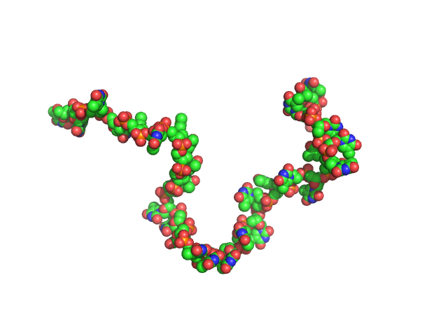 Poly-deoxythymidine (30mer) CUSTOM IN-HOUSE model