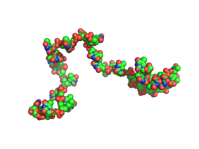 Poly-deoxythymidine (30mer) CUSTOM IN-HOUSE model