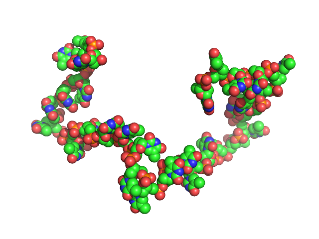 Poly-deoxythymidine (30mer) CUSTOM IN-HOUSE model