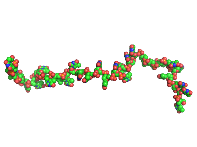 Poly-deoxythymidine (30mer) CUSTOM IN-HOUSE model