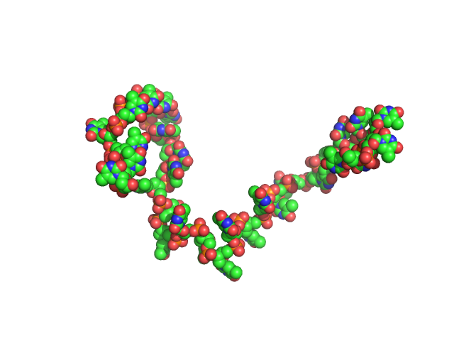 Poly-deoxythymidine (30mer) CUSTOM IN-HOUSE model