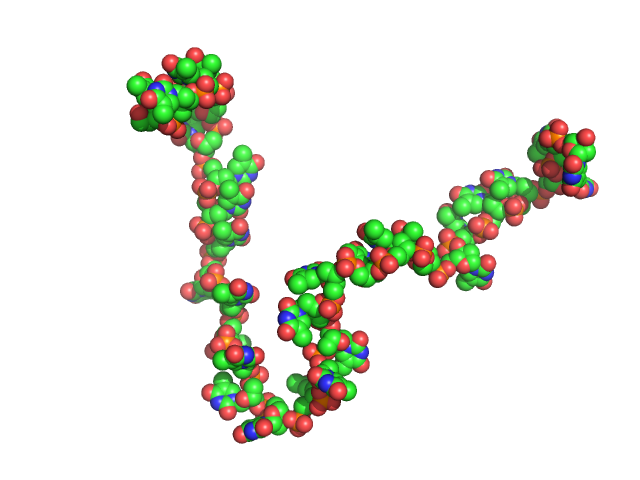 Poly-deoxythymidine (30mer) CUSTOM IN-HOUSE model