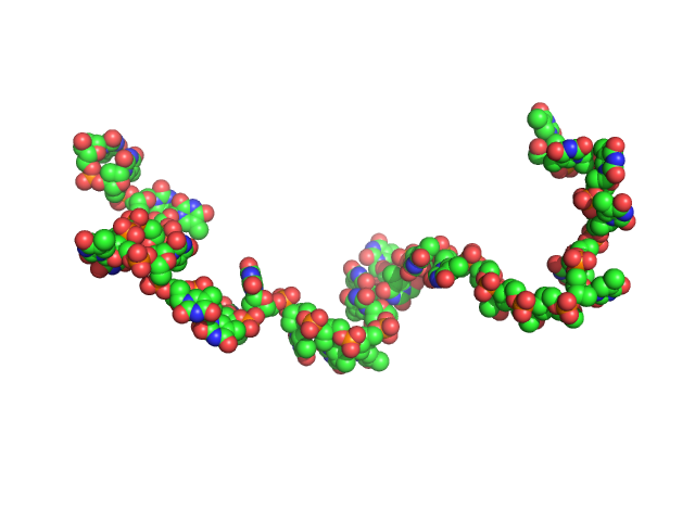 Poly-deoxythymidine (30mer) CUSTOM IN-HOUSE model