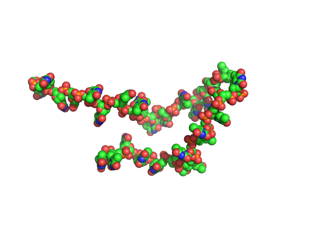 Poly-deoxythymidine (30mer) CUSTOM IN-HOUSE model