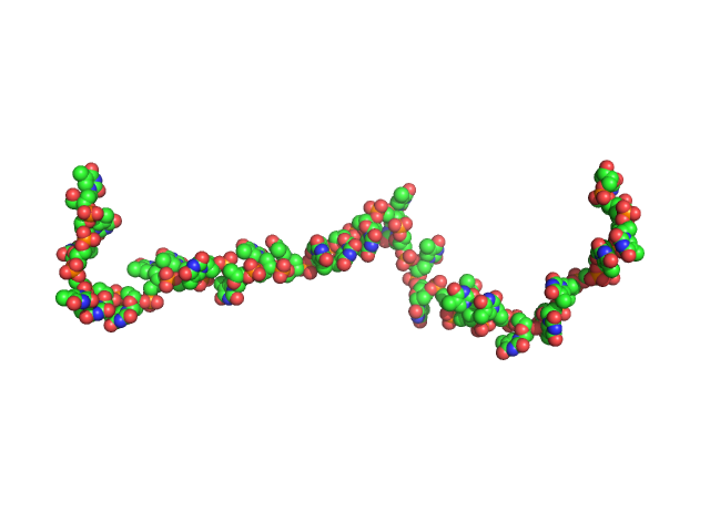 Poly-deoxythymidine (30mer) CUSTOM IN-HOUSE model