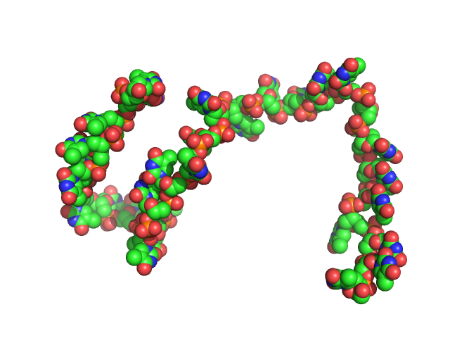 Poly-deoxythymidine (30mer) CUSTOM IN-HOUSE model