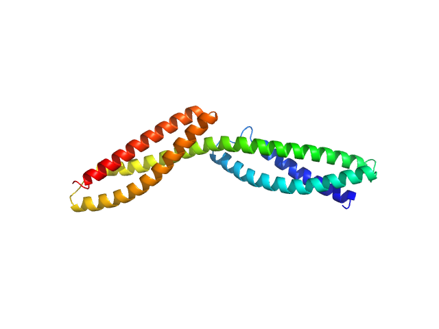 Dystrophin central domain repeats 1 to 2 NONE model